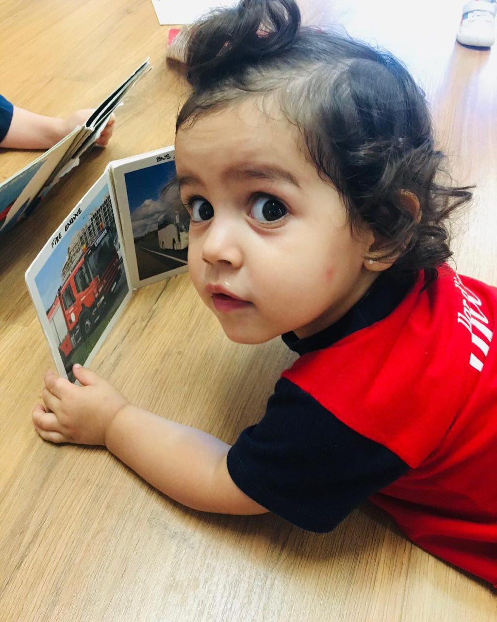 Instagram post from llardinfantsanca. This post is in position 2.