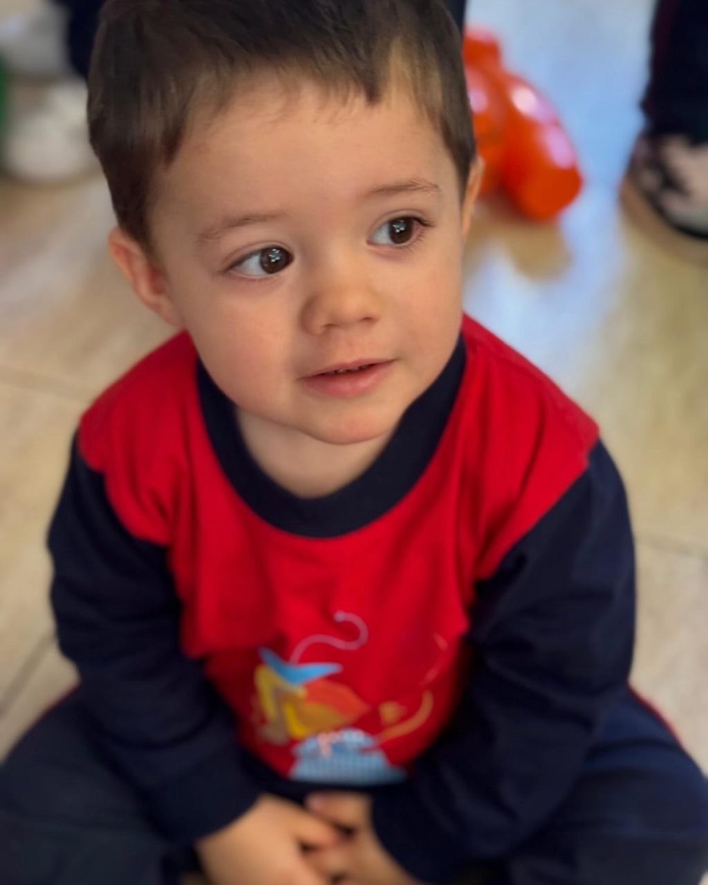 Instagram post from llardinfantsanca. This post is in position 3.