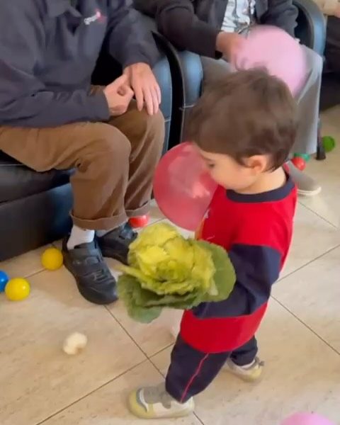 Instagram post from llardinfantsanca. This post is in position 4.