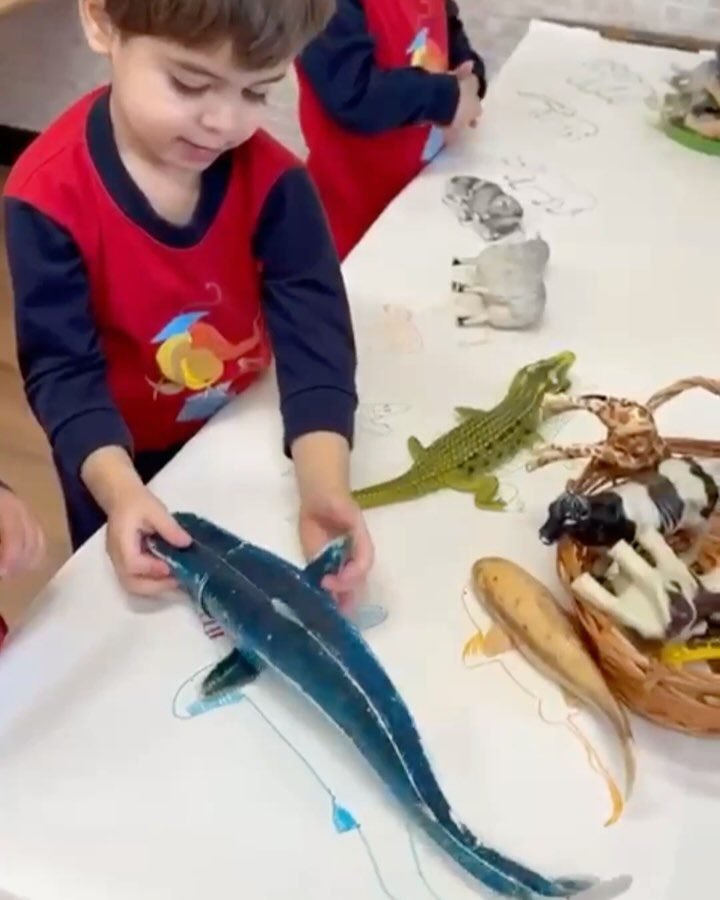 Instagram post from llardinfantsanca. This post is in position 3.