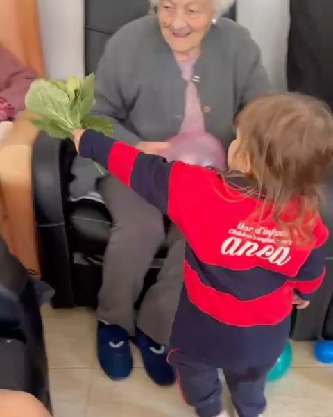 Instagram post from llardinfantsanca. This post is in position 1.