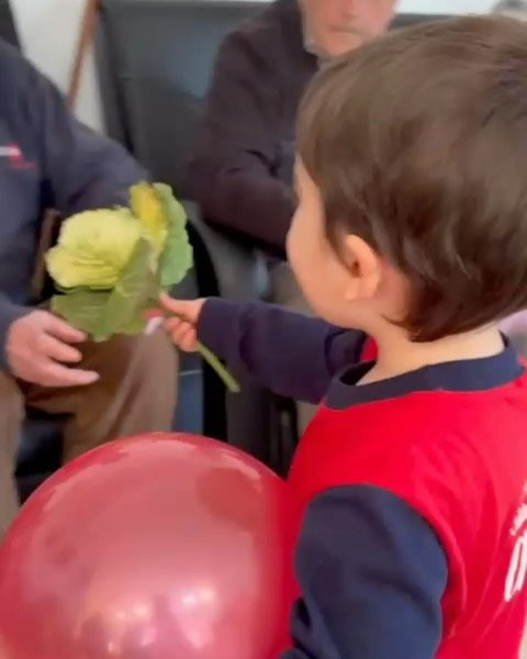 Instagram post from llardinfantsanca. This post is in position 2.