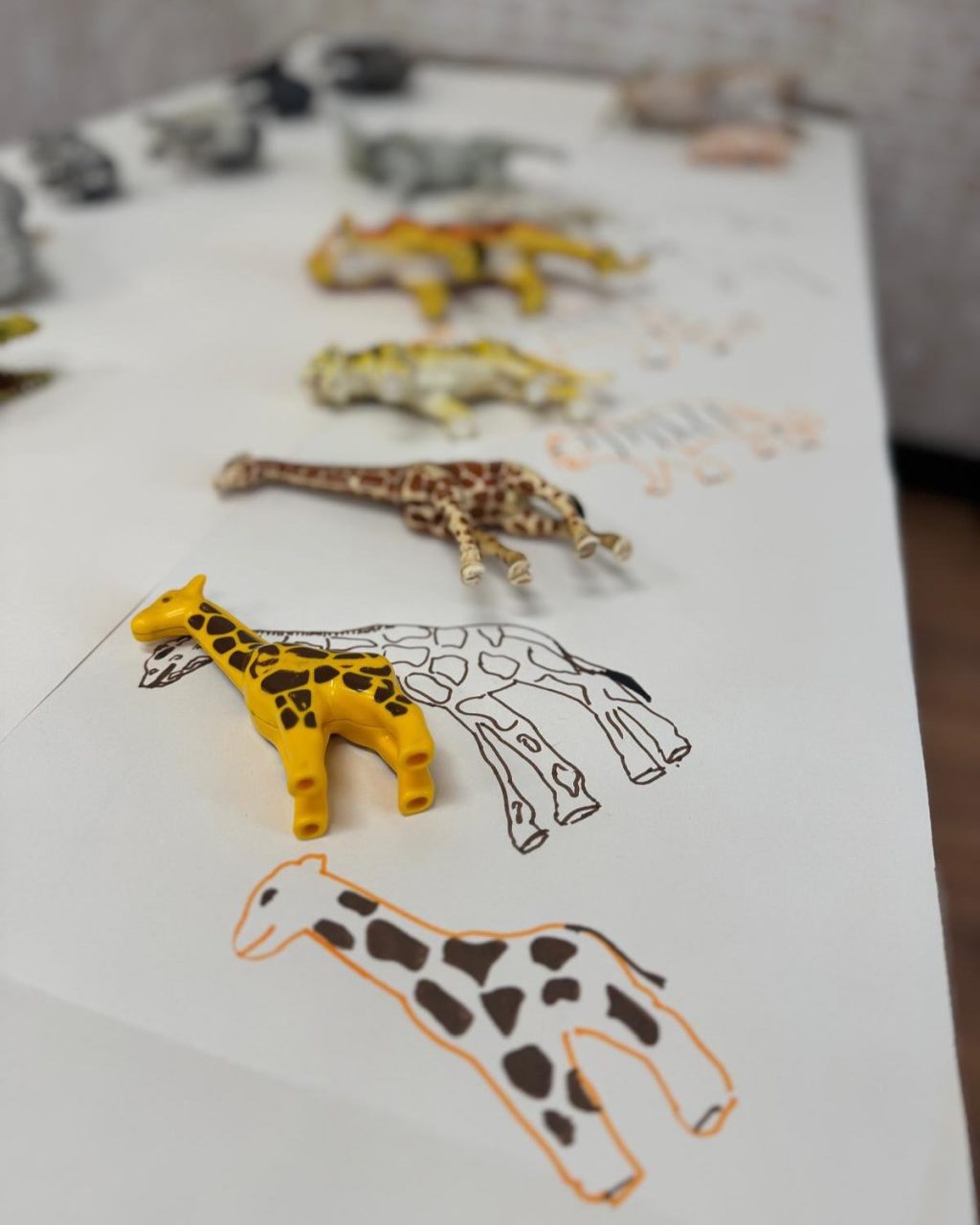 Instagram post from llardinfantsanca. This post is in position 1.