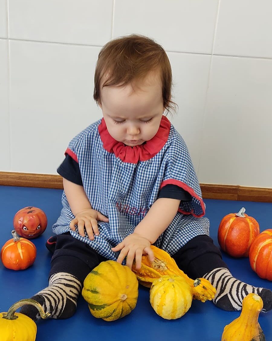 Instagram post from llardinfantsanca. This post is in position 1.